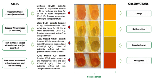 Screenshot 2025-10-17 205455