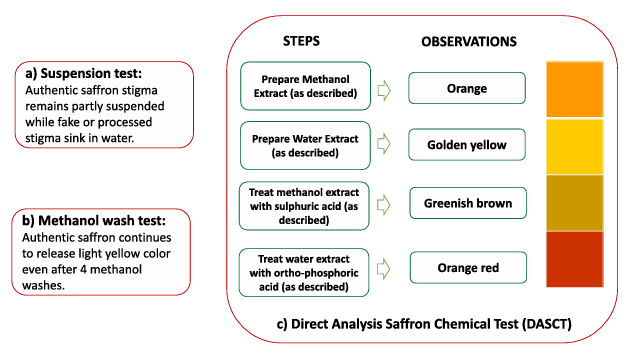 Screenshot 2025-10-17 205552