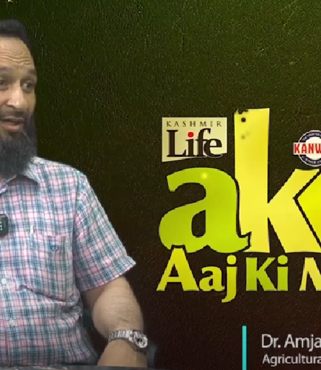 Screenshot 2025-07-28 171916